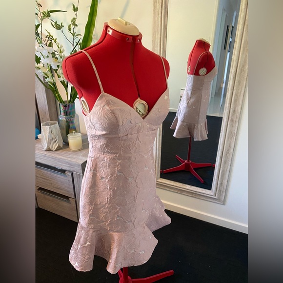 Size 10 - Forever New Mauve Mini Dress with embroidered pattern - Picture 4 of 11